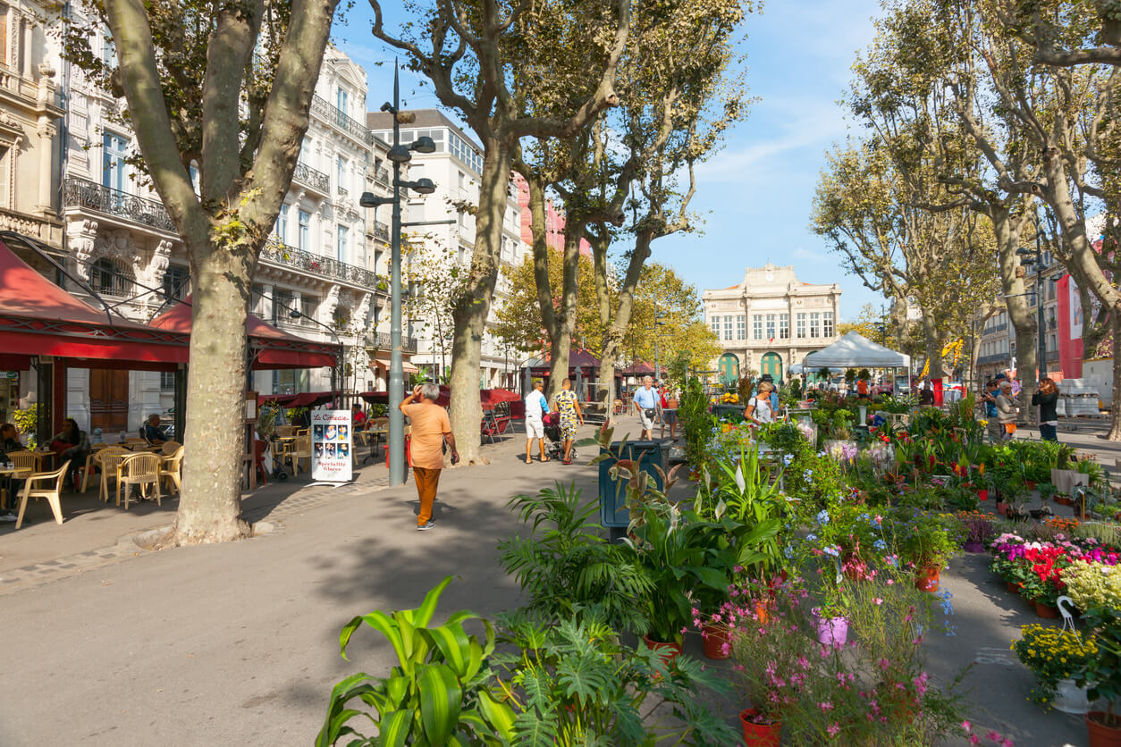 Marché animé sur les allées Paul Riquet à Béziers, avec des étals de plantes colorées et des terrasses de café accueillantes sous les arbres ombragés. Cette ambiance conviviale illustre le charme de Béziers, idéal pour un investissement locatif Béziers attirant les visiteurs et les habitants vers le centre-ville historique.